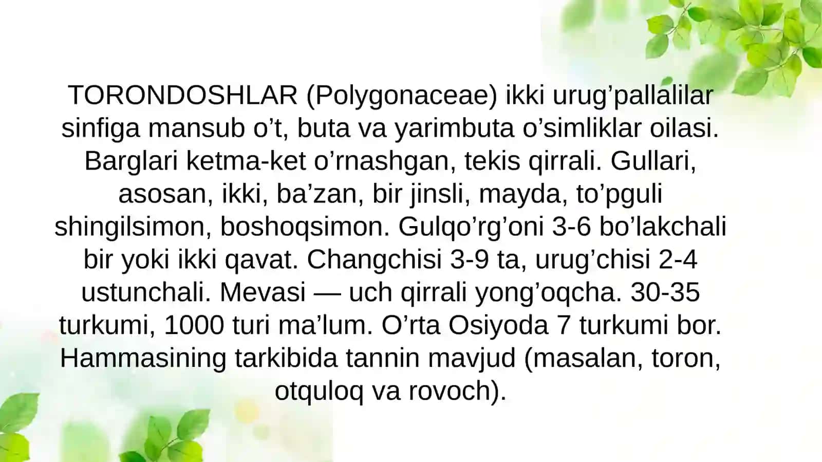 Torondoshlar(Polygonaceae) oilasi 3