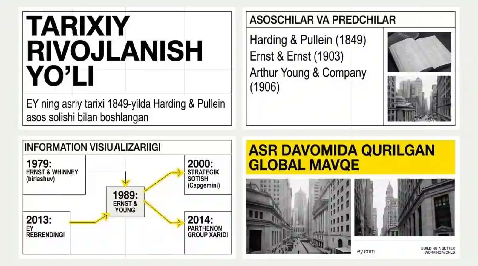 ERNST & YOUNG xalqaro auditorlik kompaniyasi 3