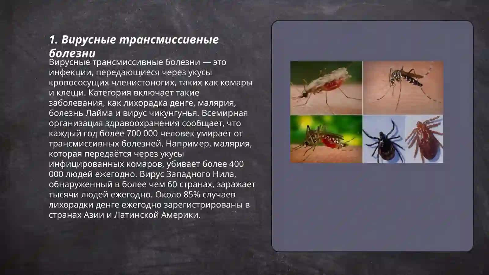 Трансмиссивные болезни 3