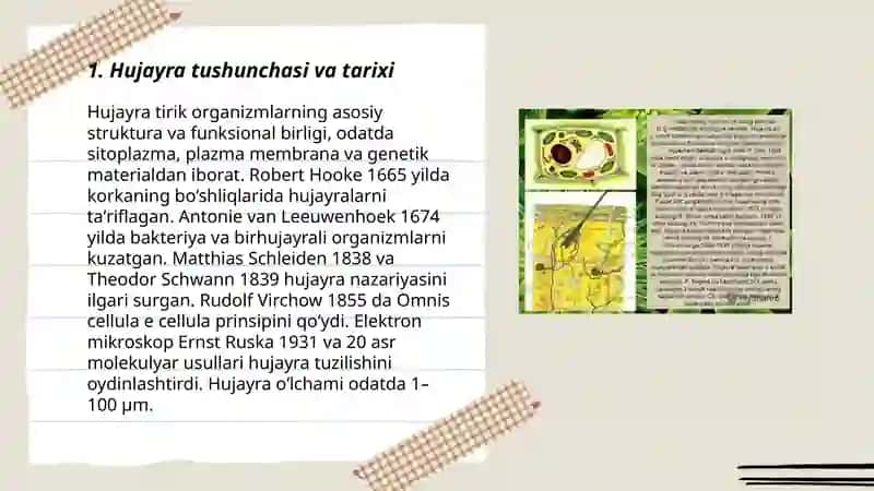 Hujayra haqida tushuncha 3