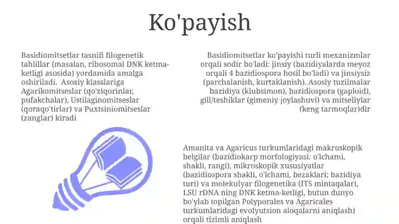 Basidiomitsetlar Ko'payishi 3