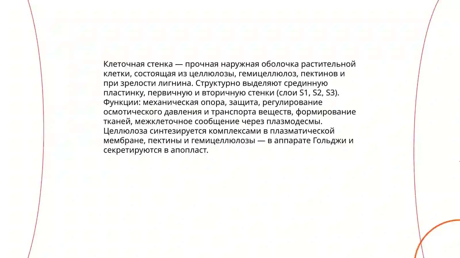 Строение растительной клетки 3