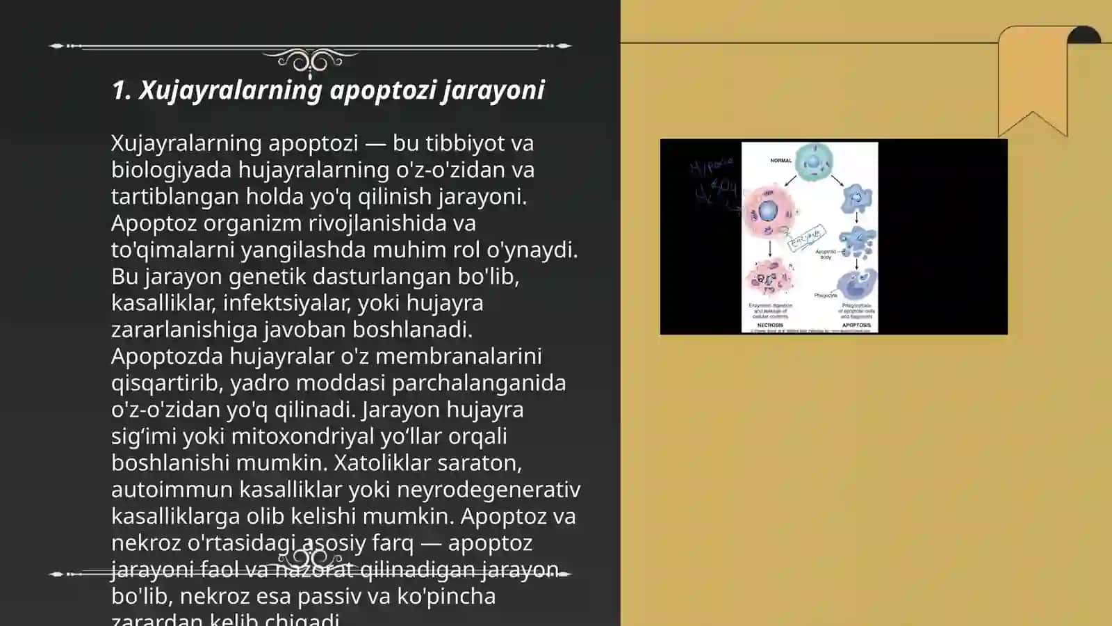 Hujayra apoptozi 3