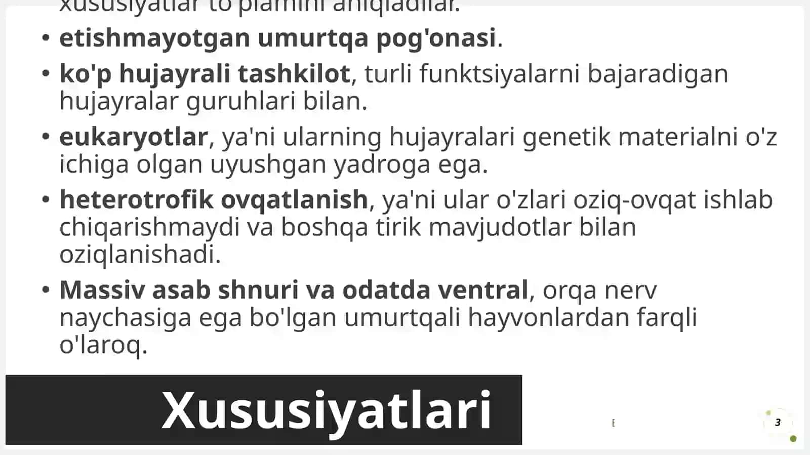 Umurtqasiz hayvonlar 3