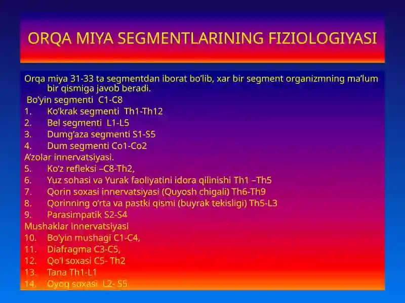 MARKAZIY NERV TIZIMINING FIZIOLOGIYASI 3