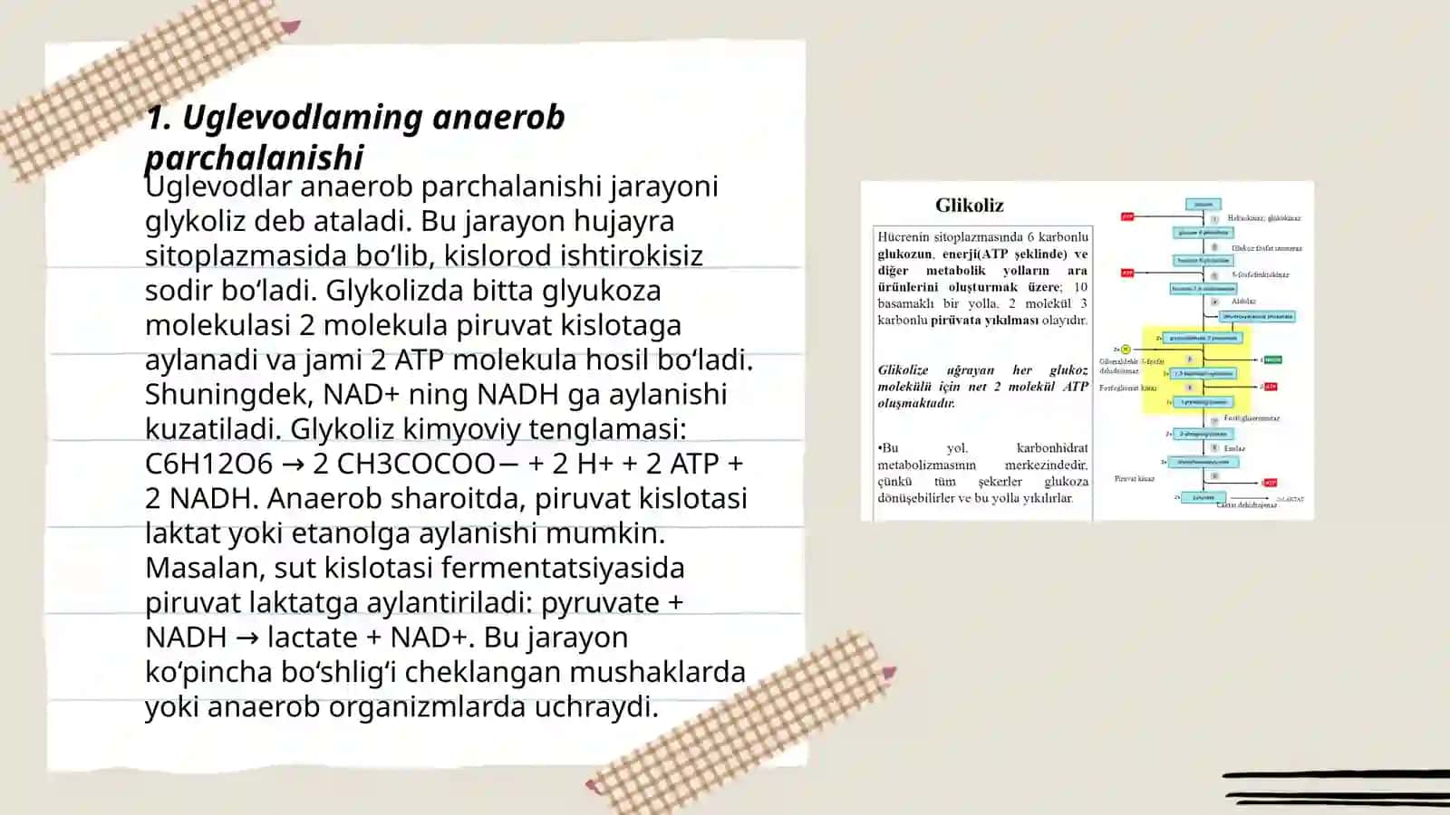 Uglevodlaming anaerob, aerob hamda pentoz yo'li bilanparchalanishi. Glikoliz, glikogenoliz 3