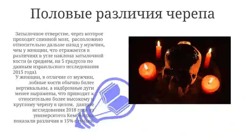 Рентгенанатомия костей черепа 3