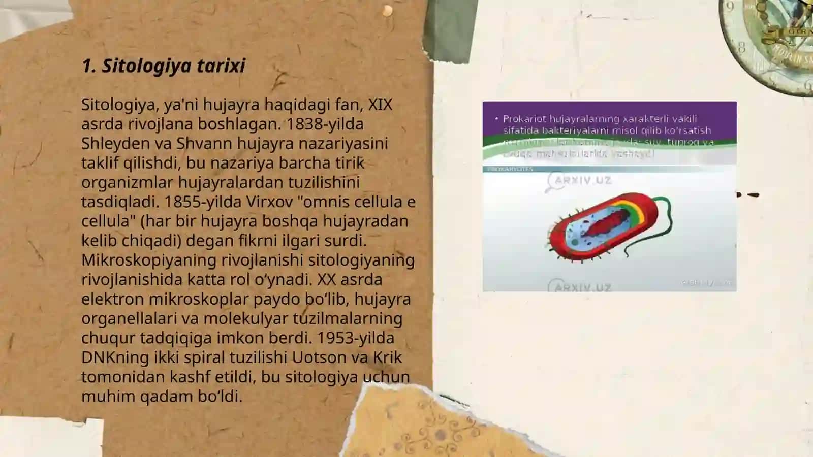 Sitologiya tarixi 3