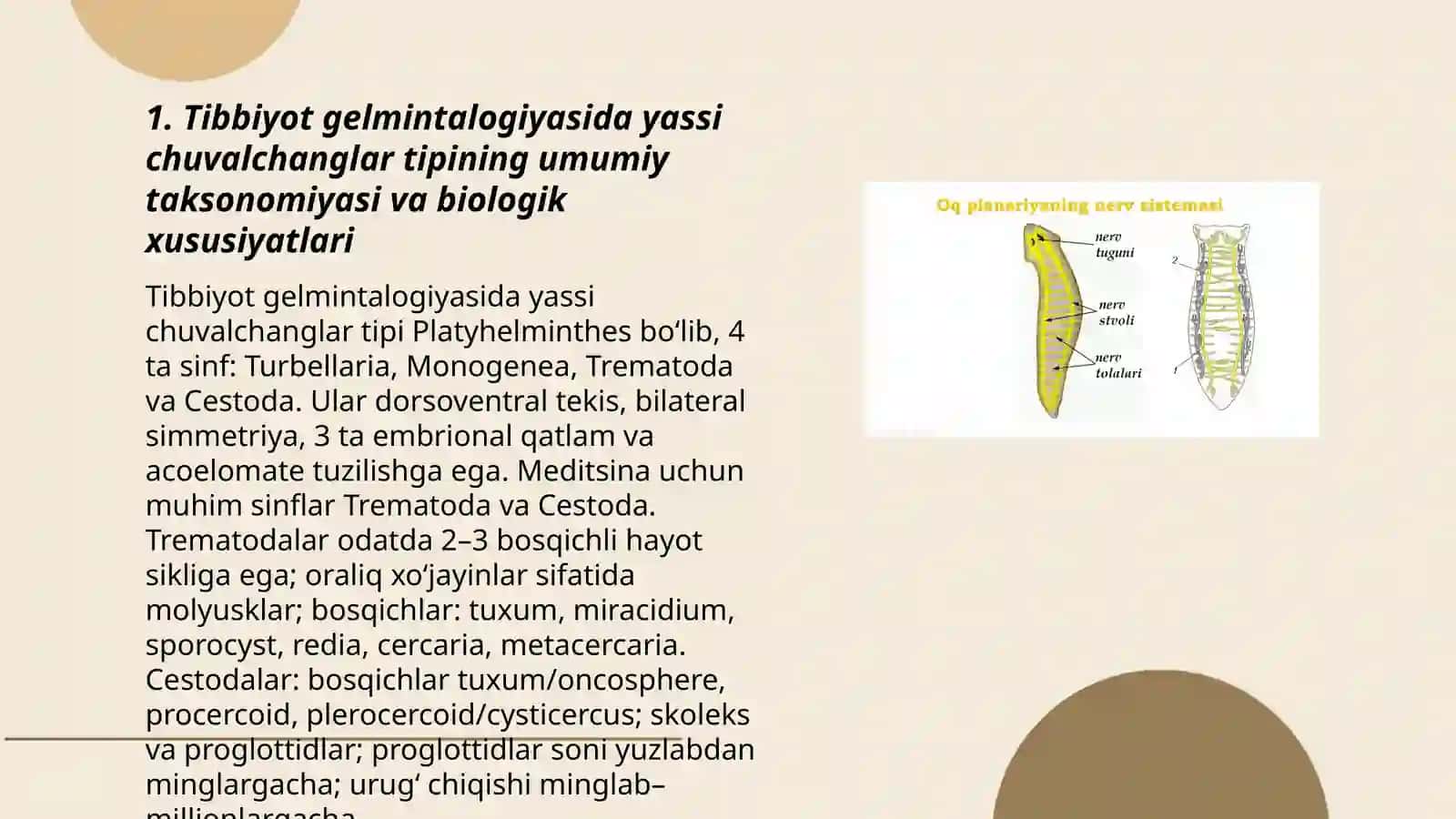 Tibbiyot gelmintalogiyasi. Yassi chuvalchanglar tipi 3