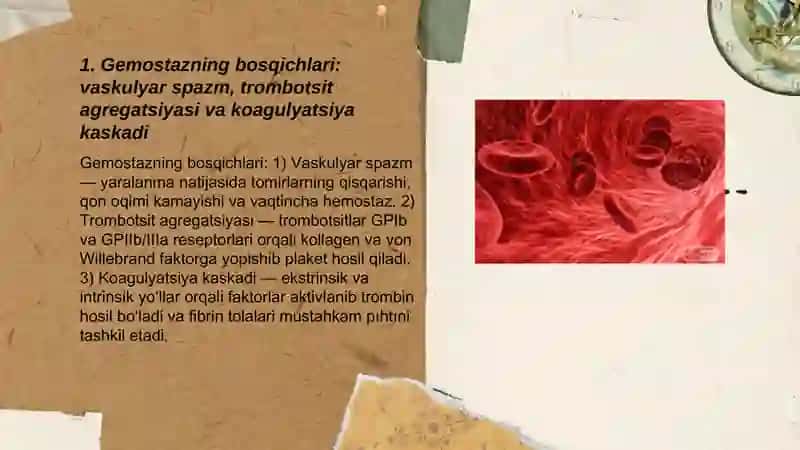 Fibrinoliz. Qon quyish asoslari 3