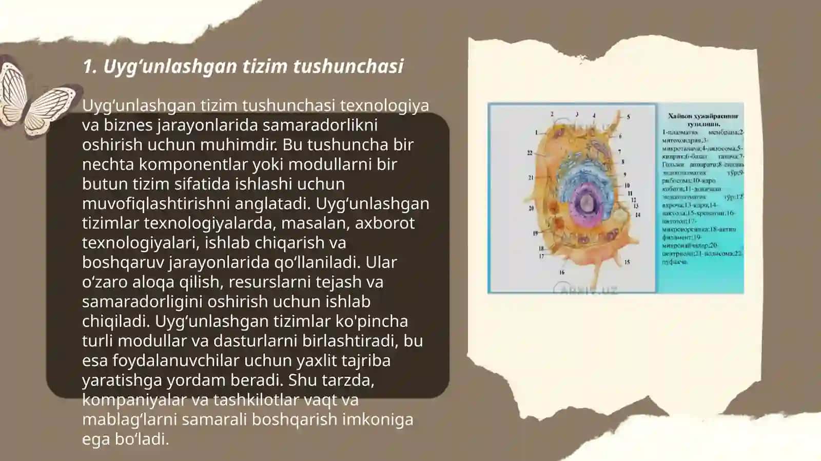 Uygʻunlashgan tizimni tuzilishi 3