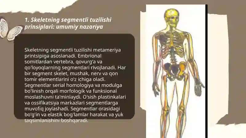 Skeletni segmentli tuzilish pirinsiplari 3
