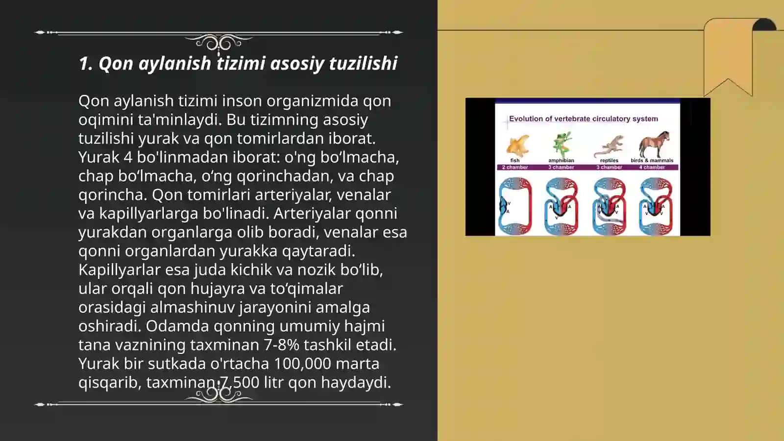 Qon aylanish tizimi 3