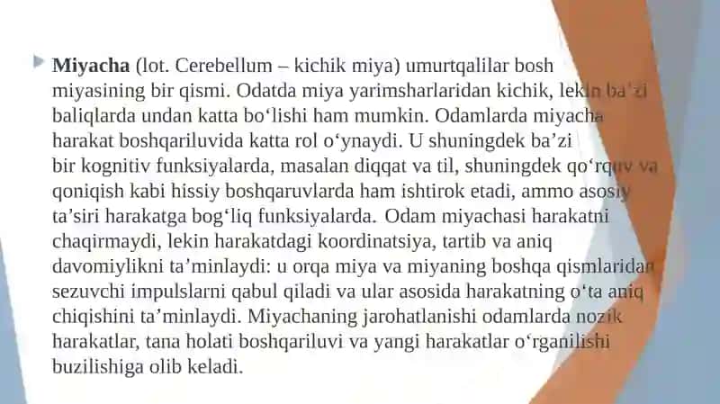 Miyacha neyronlararo aloqalar 3