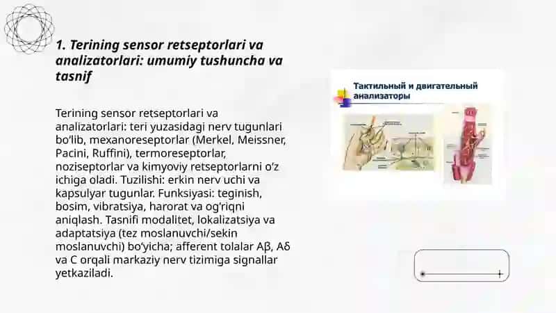 Terining sensor retseptorlari va analizatorlari 3