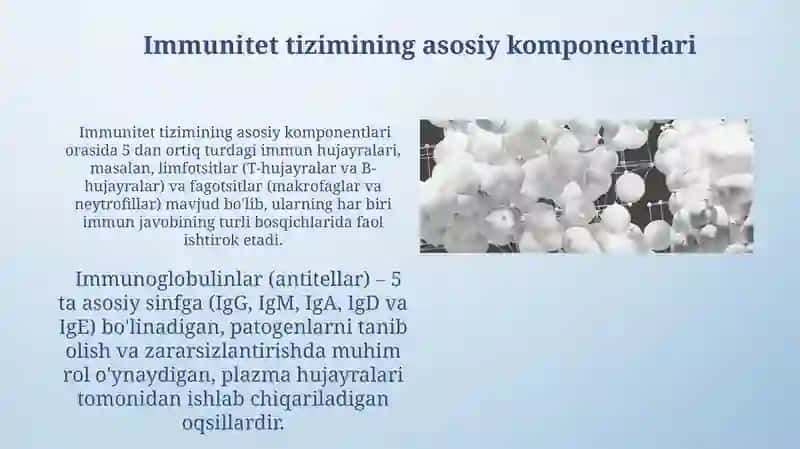Organizm immun sistemasi 3