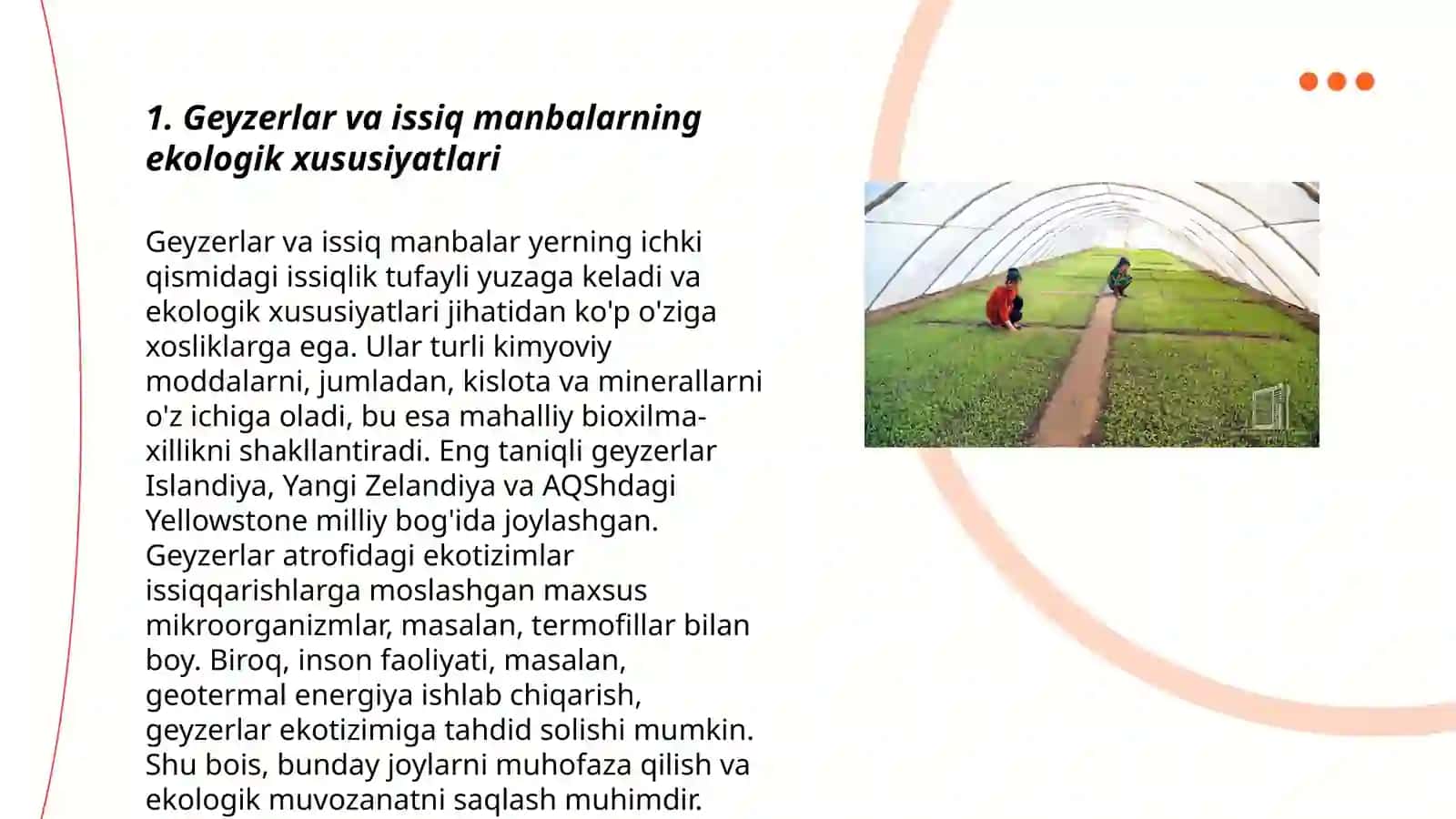 Geyzerlar va issiq manbalarning ekologik xususiyatlari 3