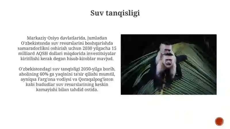 Ekologik muammolar 3