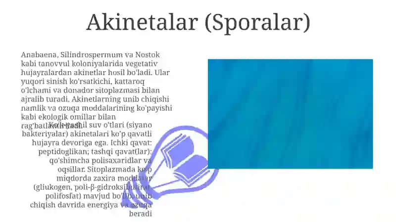 Koʻk-yashil suv oʻtlarning tuzilishi 3