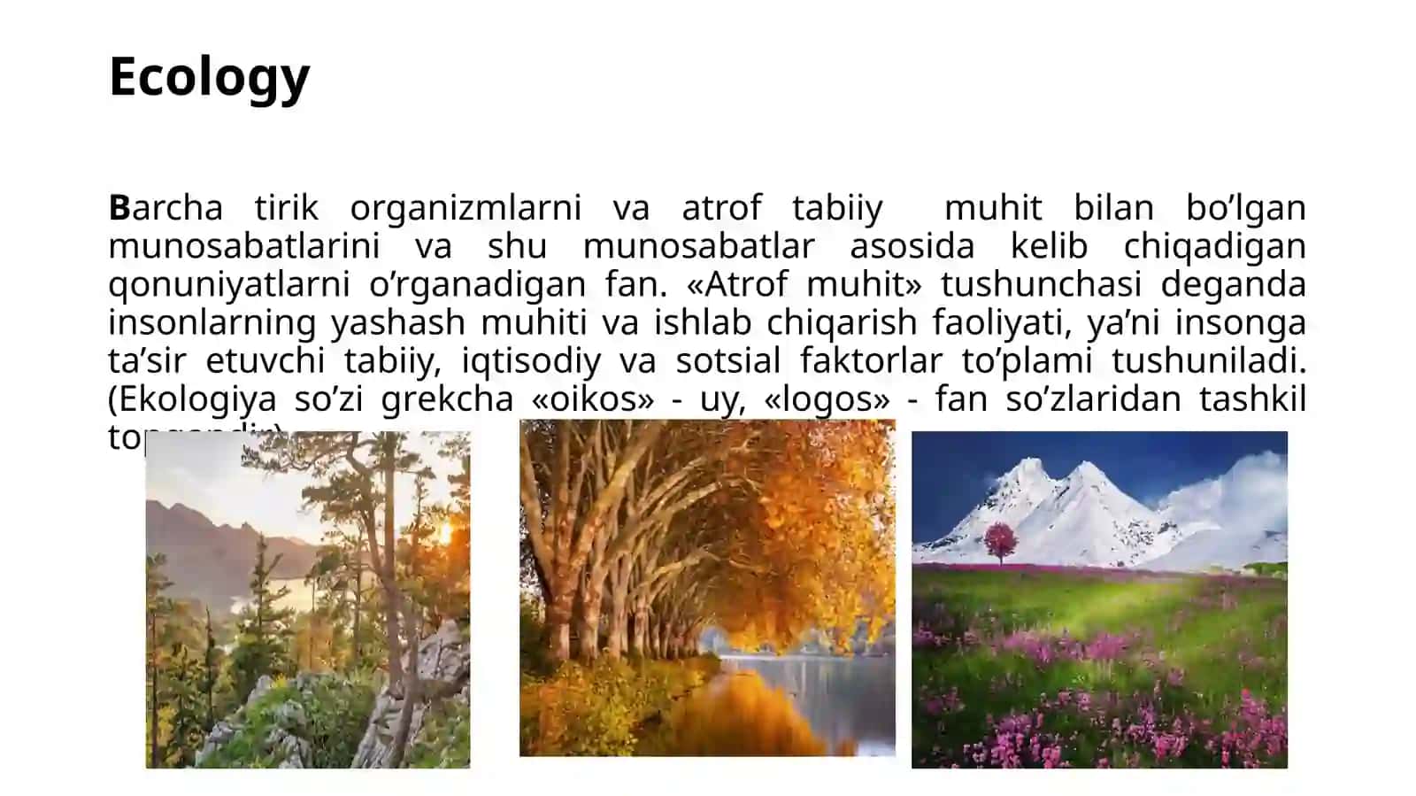 Ozbekistondagi ekologik muammolar 3