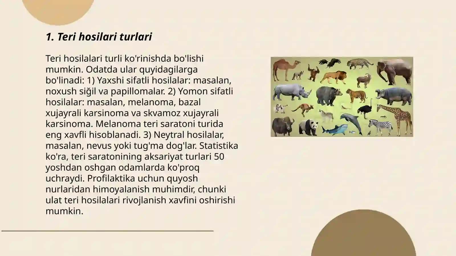 Hayvonlarda teri hosilari 3