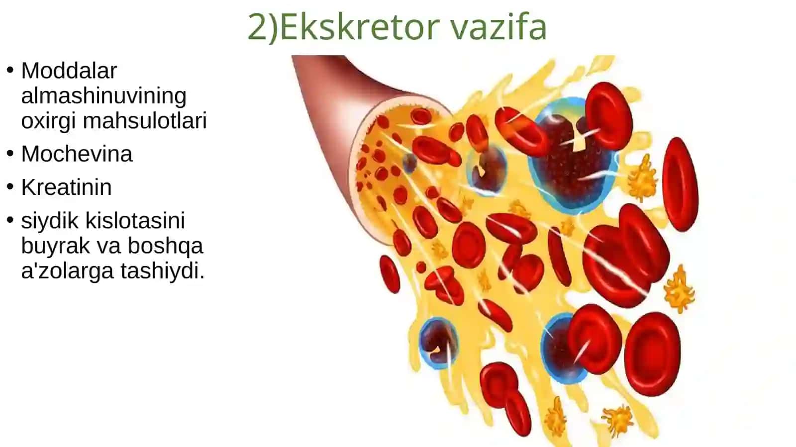 QON BIOKIMYOSI 3