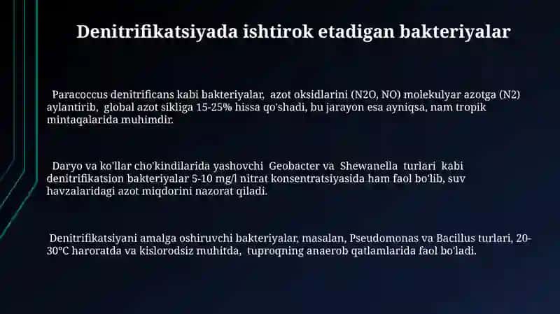 Denitrifikatsiya jarayoni 3
