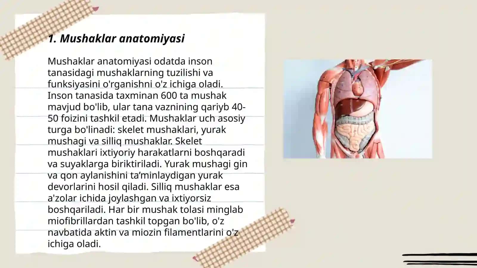 Anatomiya haqida Ahmedov 3