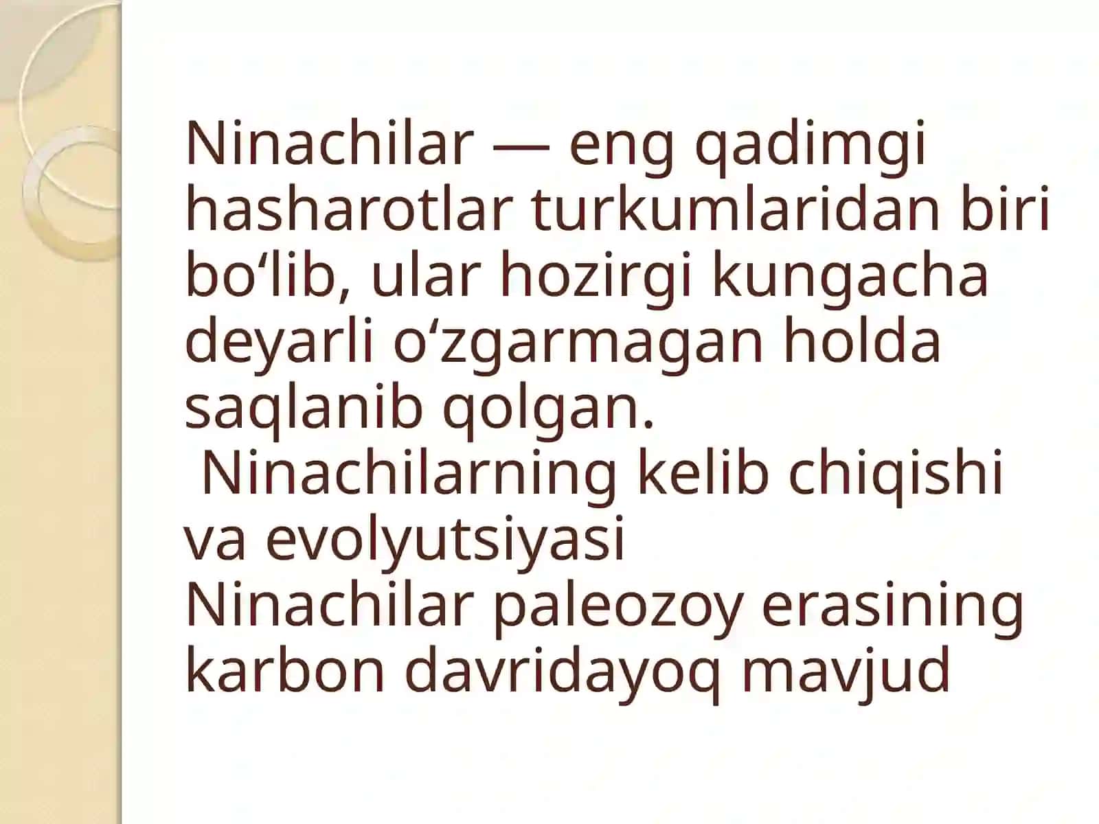 Ninachilar 3