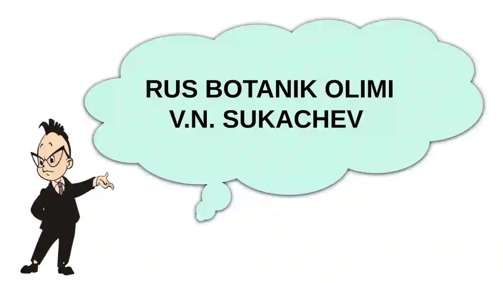 Ekosistemalarning tarkibiy qismlari 3
