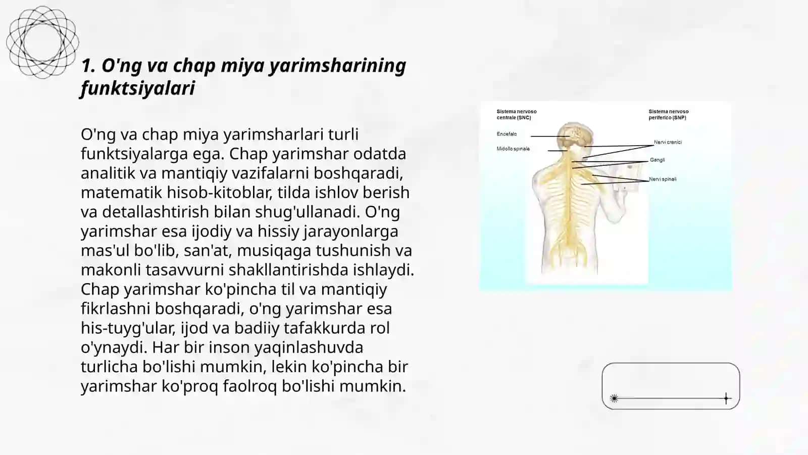 Bosh miyaning 11 nervi 3