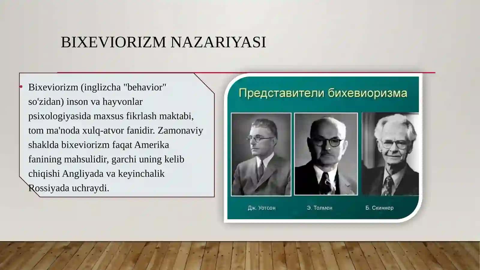 Bixeviorizmdarivojlanish nazariyasi 3