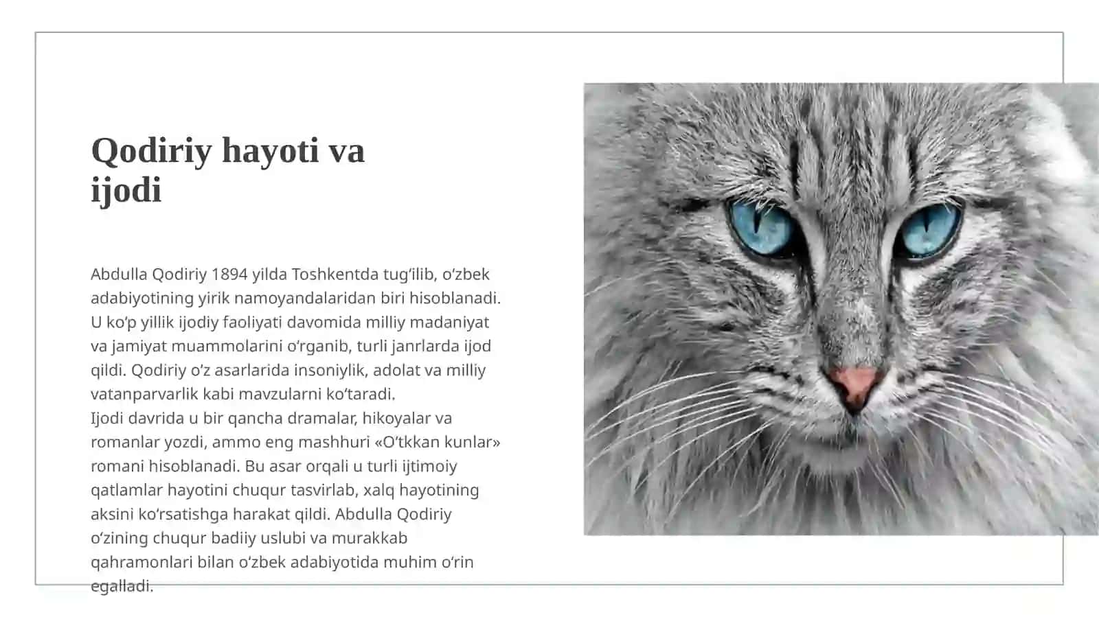 QODIRIYNING O'TKAN KUNLAR ASARI 3