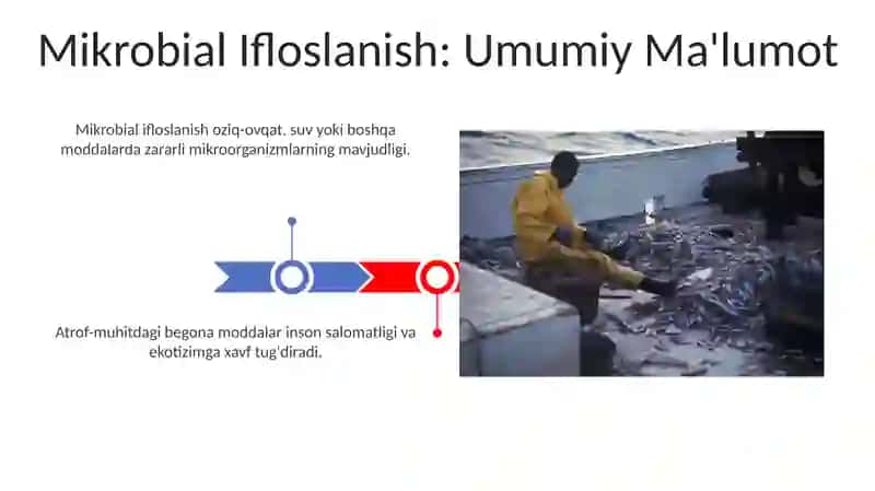 Mikrobial Ifloslanish: Umumiy Ma'lumot 3