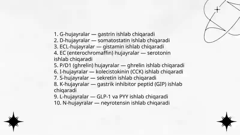 Meda ichak nayining endokrin hujayralari 3