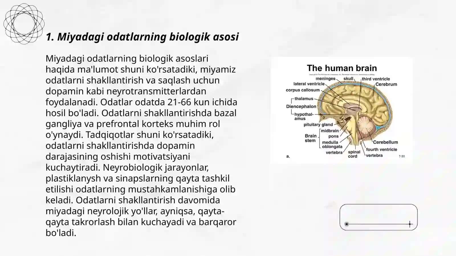 Miyadagi odatlarning biologik asosi 3