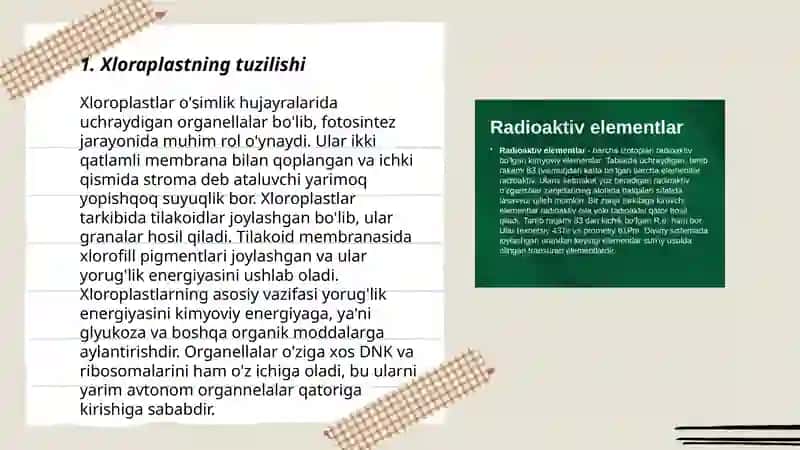 Xloraplastning tuzilishi 3