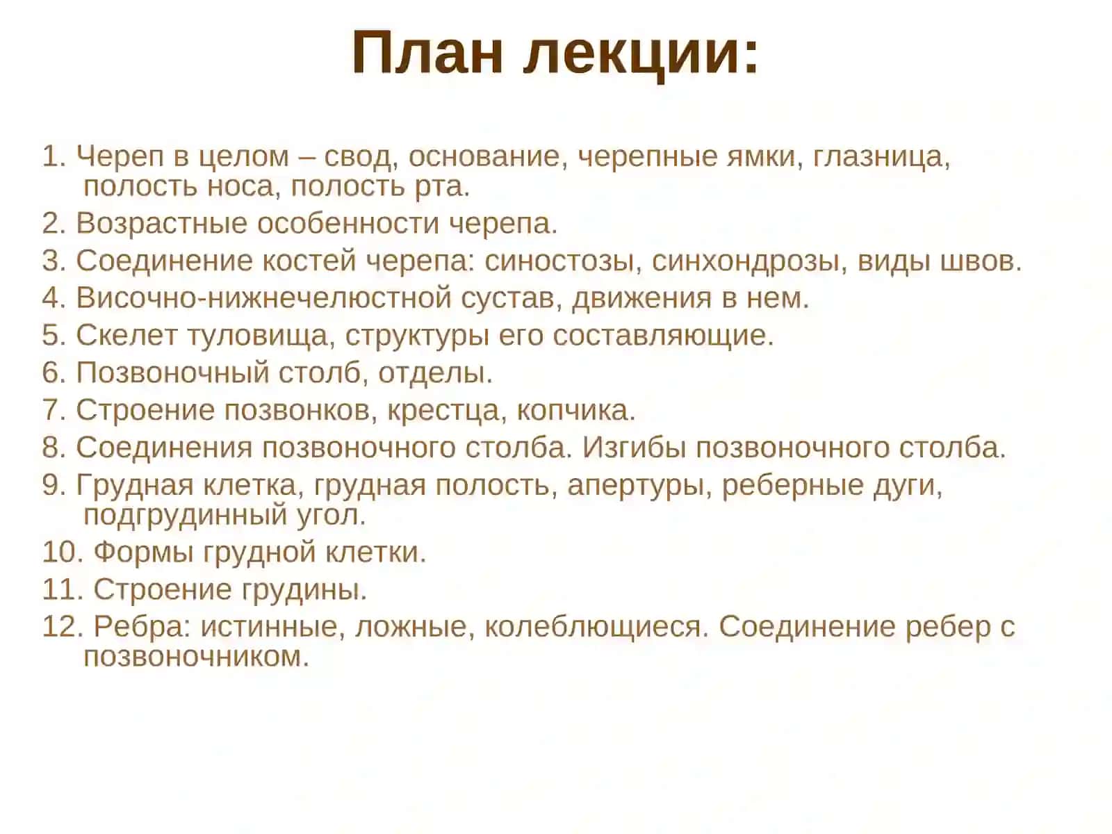 Кости черепа. Скелет туловища 3
