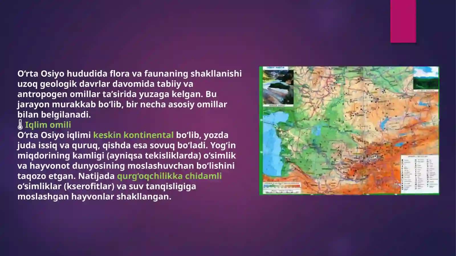 O‘rta Osiyo florasi va faunasi 3
