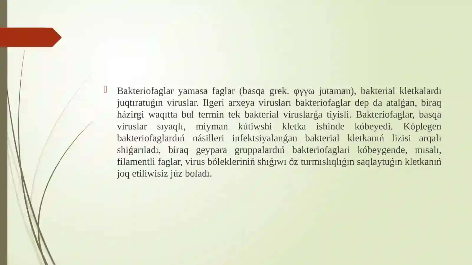 Bakteriofaglar 3