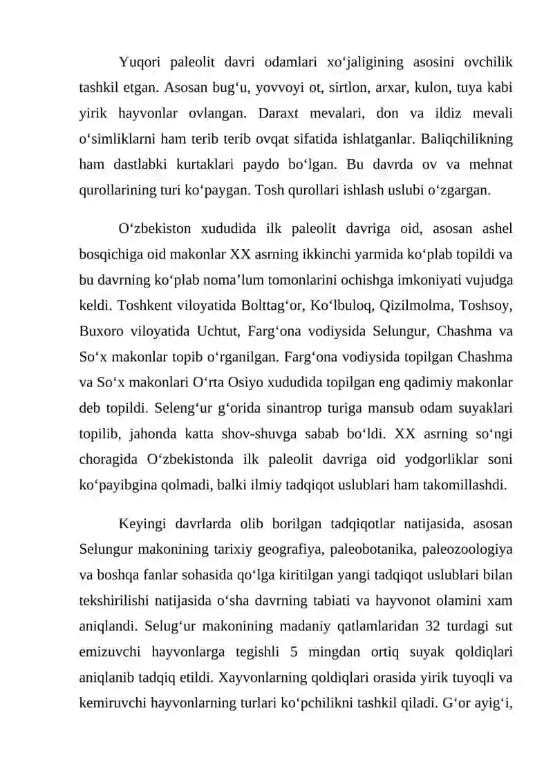 So’nggi paleolit davri yodgorliklari 3