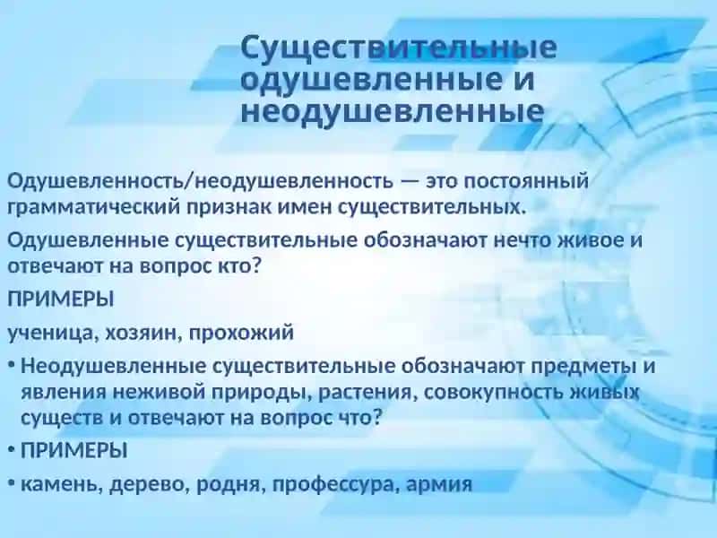 Имя существительное. Имя существительное как часть речи 3