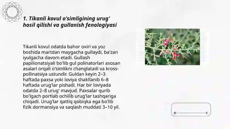 Tikanli kovul òsimligini uruğchiligi 3