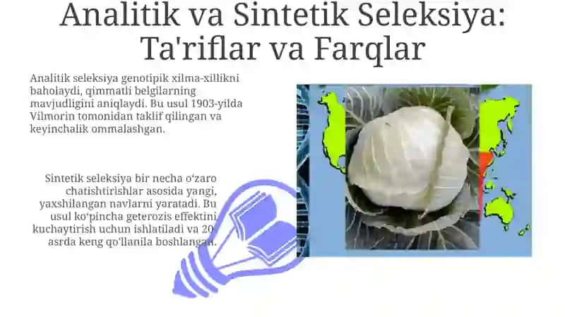 Analitik va Sintetik Seleksiya 3