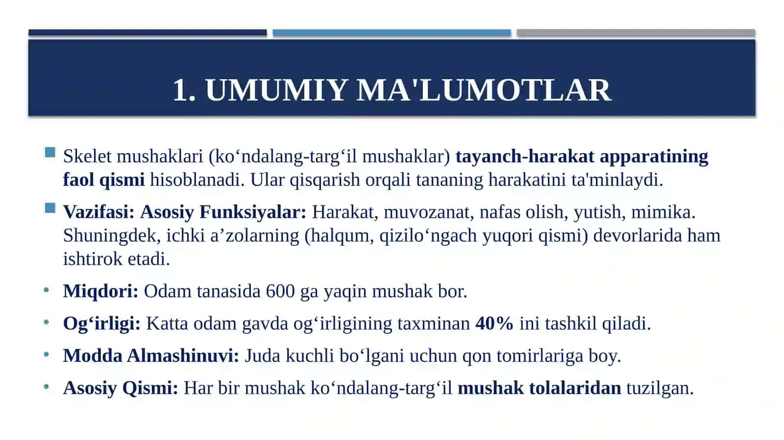 Mushaklar haqida ta`limot 3