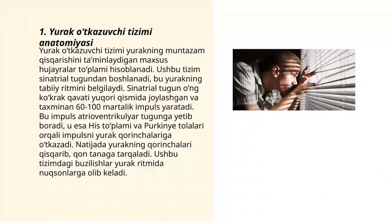 Yurak oʻtkazuvchi tizimi anatomiyasi 3