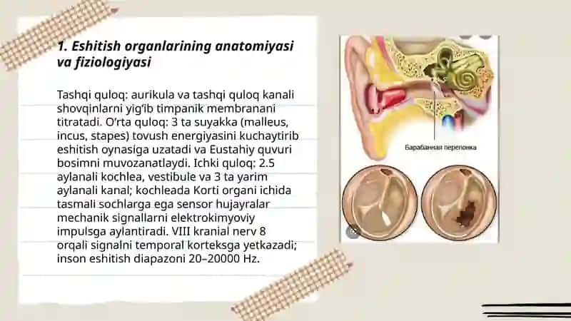 Eshitish a'zolarining asosiy patologiyasi 3