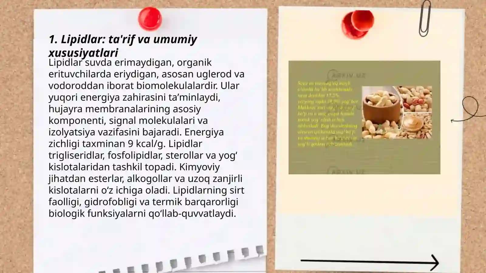 Lipidlar 3