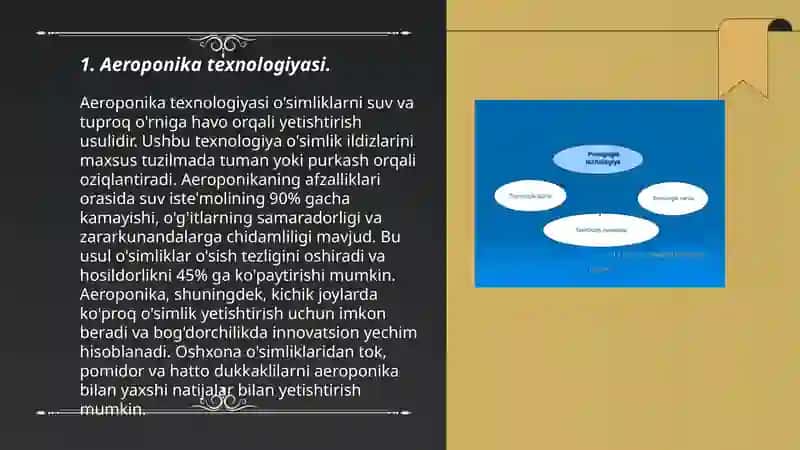 Aeroponika texnologiyasi 3