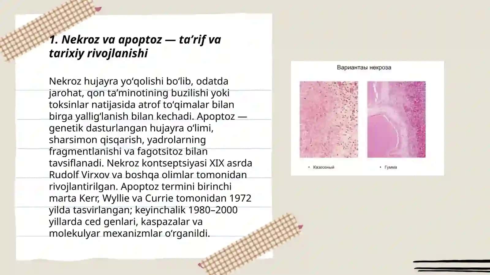 Nekroz apoptoz hodisalari 3